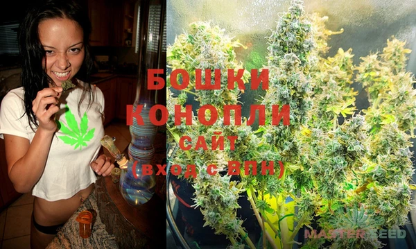 прущая мука Бородино