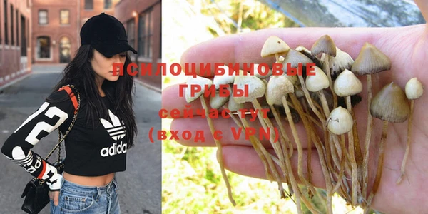 2c-b Бронницы