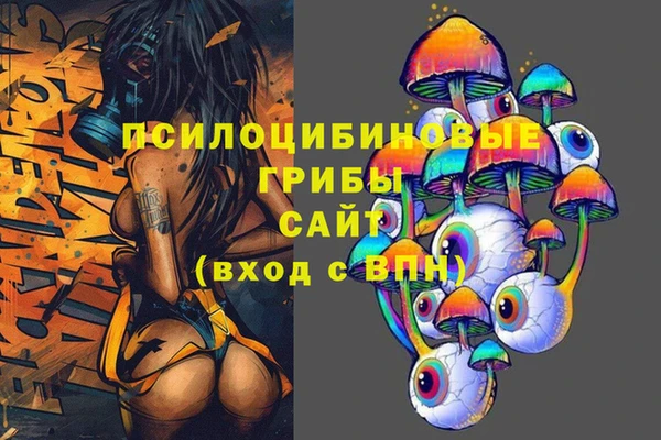 2c-b Бронницы