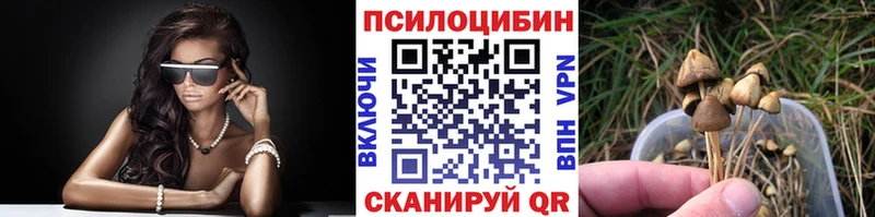 Псилоцибиновые грибы Psilocybe ссылка на мегу зеркало Козельск
